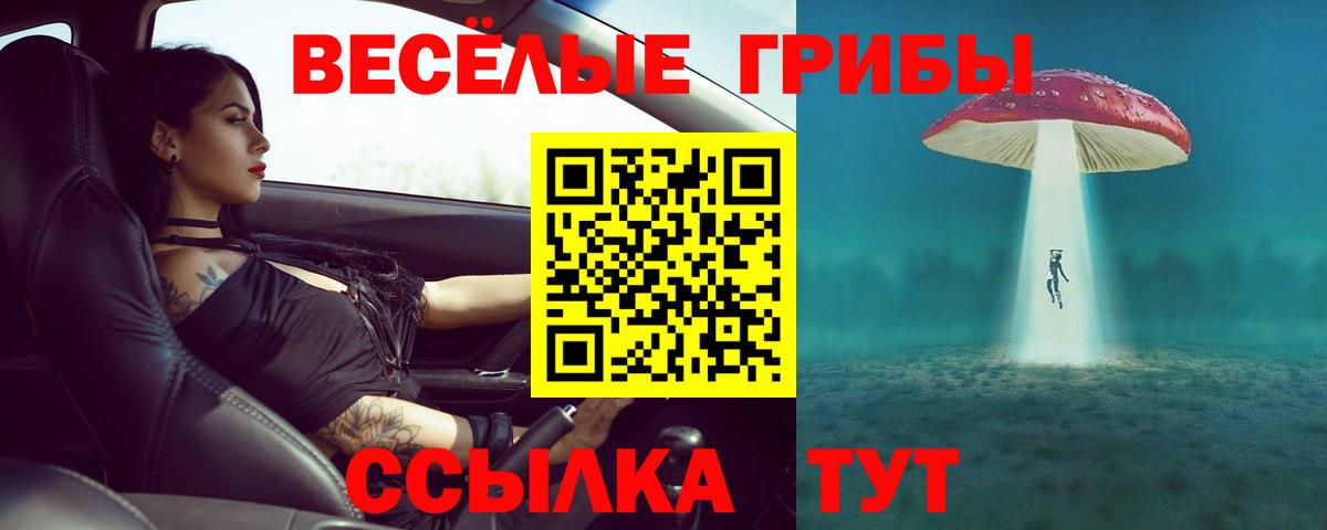 Магнитогорск  Псилоцибиновые грибы ЛСД  Галлюциногенные грибы Magic Shrooms  Вход с VPN 